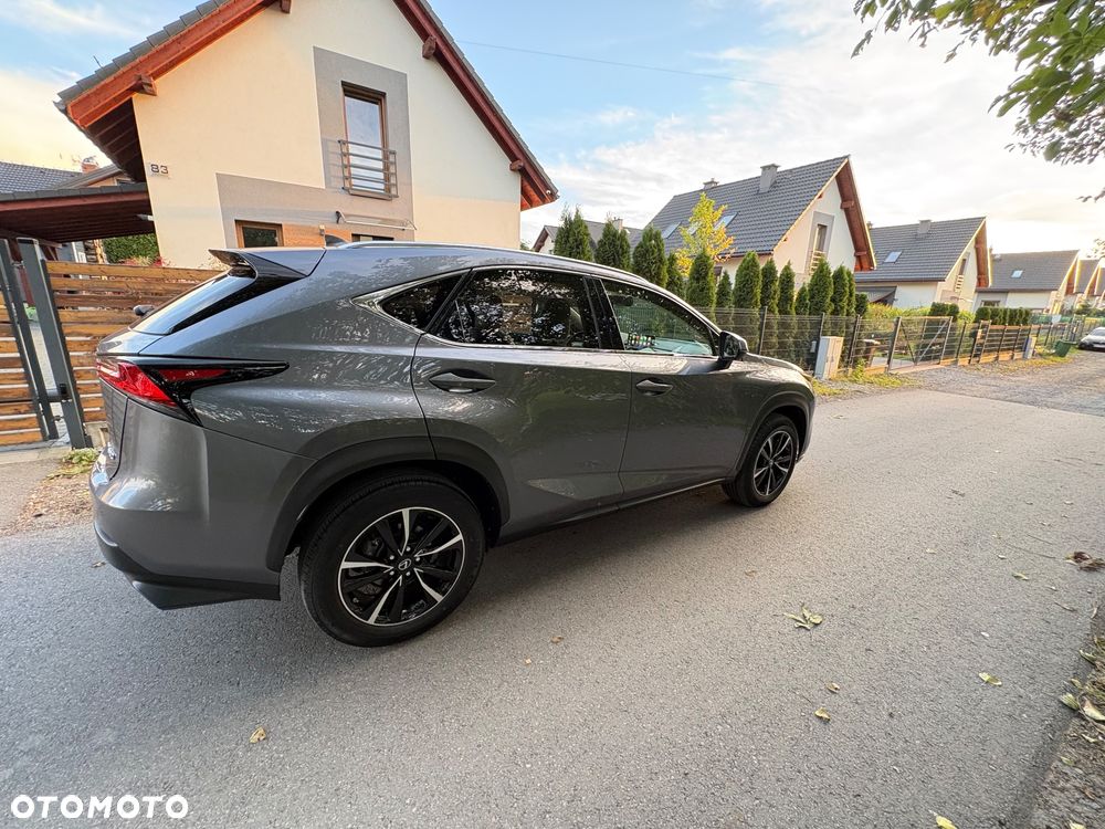 Lexus NX - 4