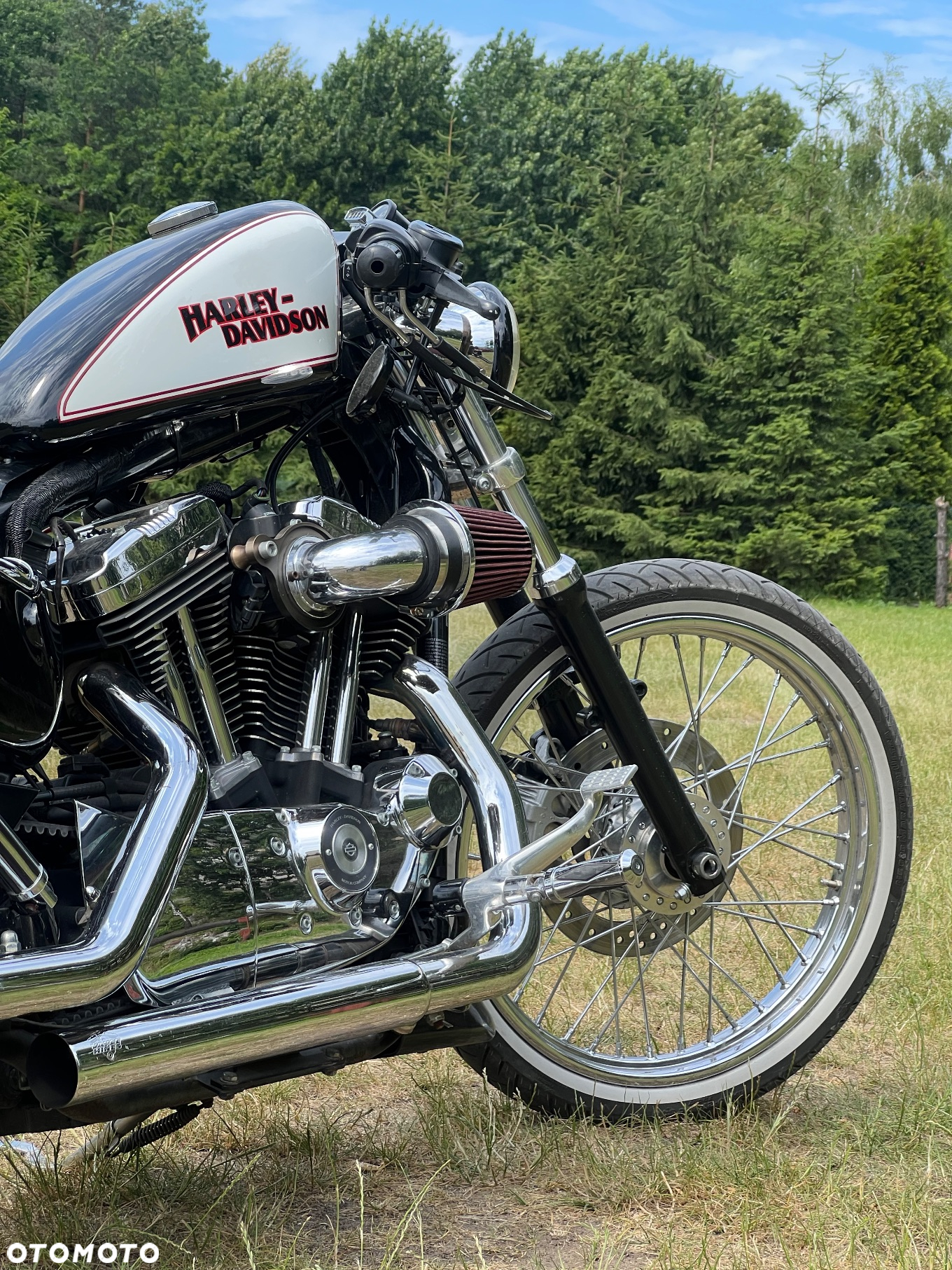 Harley-Davidson Sportster Custom 1200C - 3