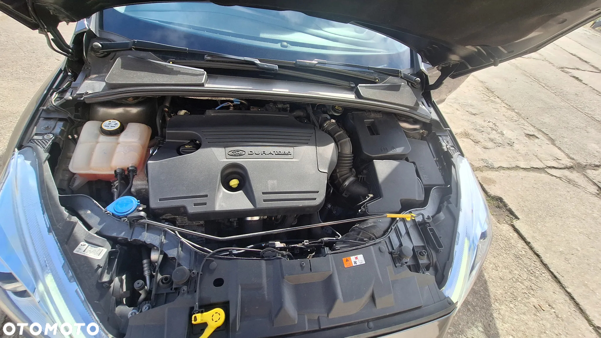 Ford Focus 2.0 EcoBlue Start-Stopp-System TITANIUM - 16