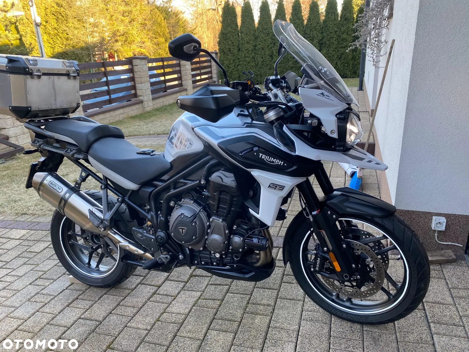 Triumph Tiger - 1