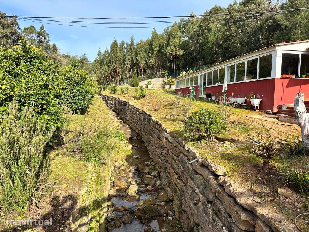 Quinta - Quintinha - Moradia - Grande imagem: 5/18