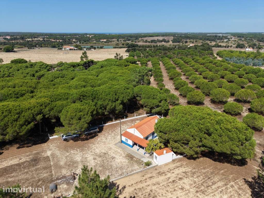 QUINTA (5.140 m² ) - Grande imagem: 2/40