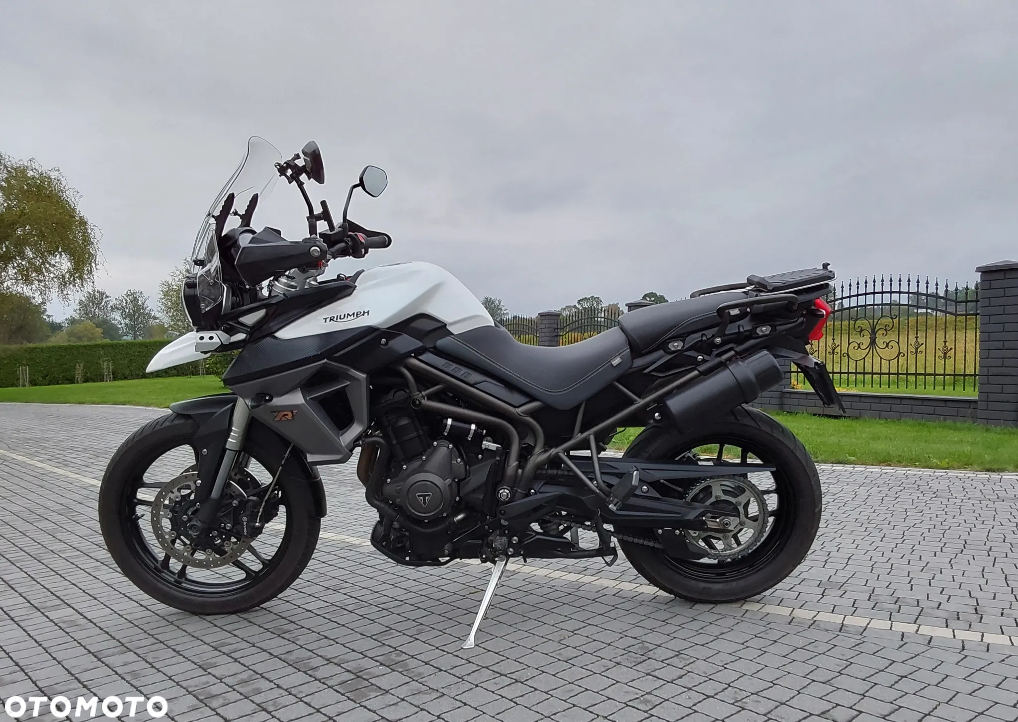 Triumph Tiger - 9