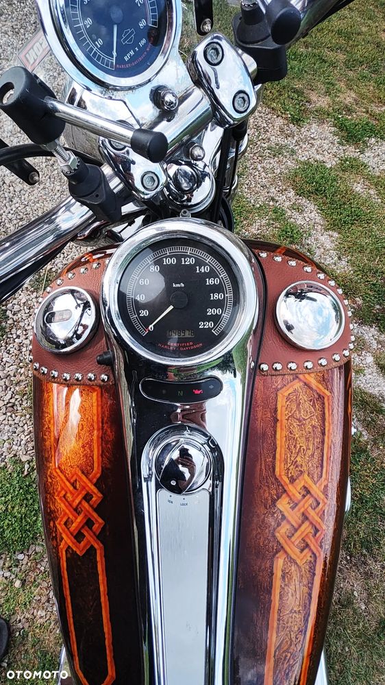 Harley-Davidson Inny - 4