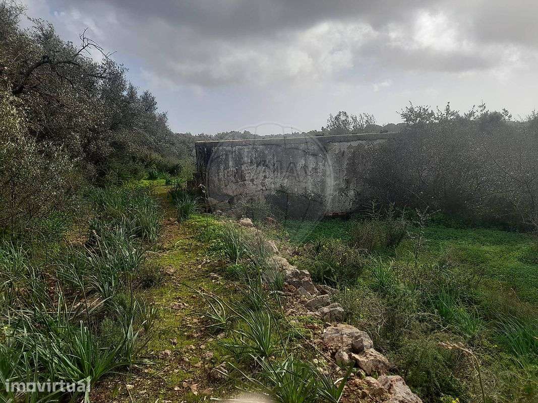 Terreno  para venda - Grande imagem: 3/14