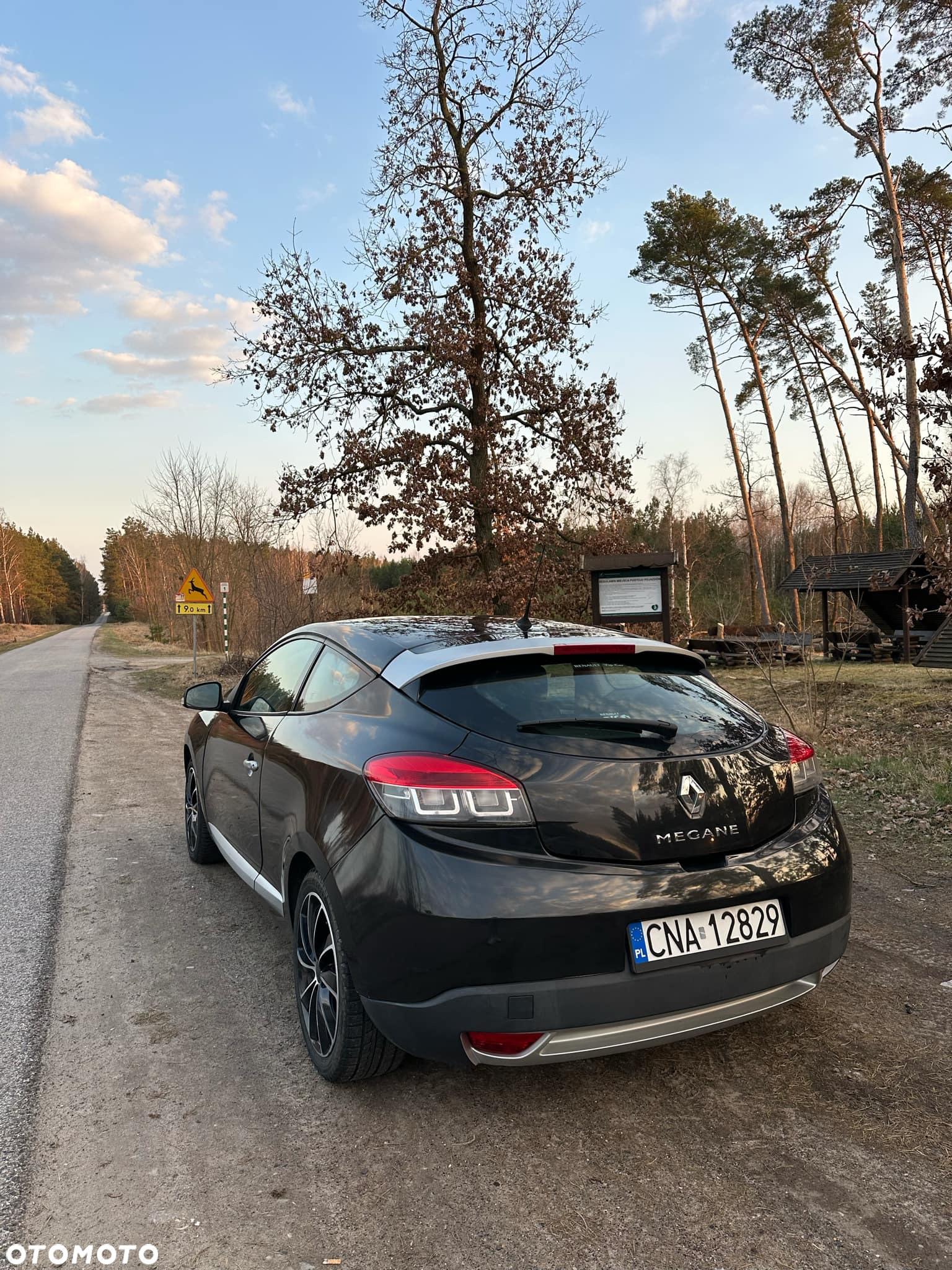 Renault Megane CC 1.6 16V Authentique - 3
