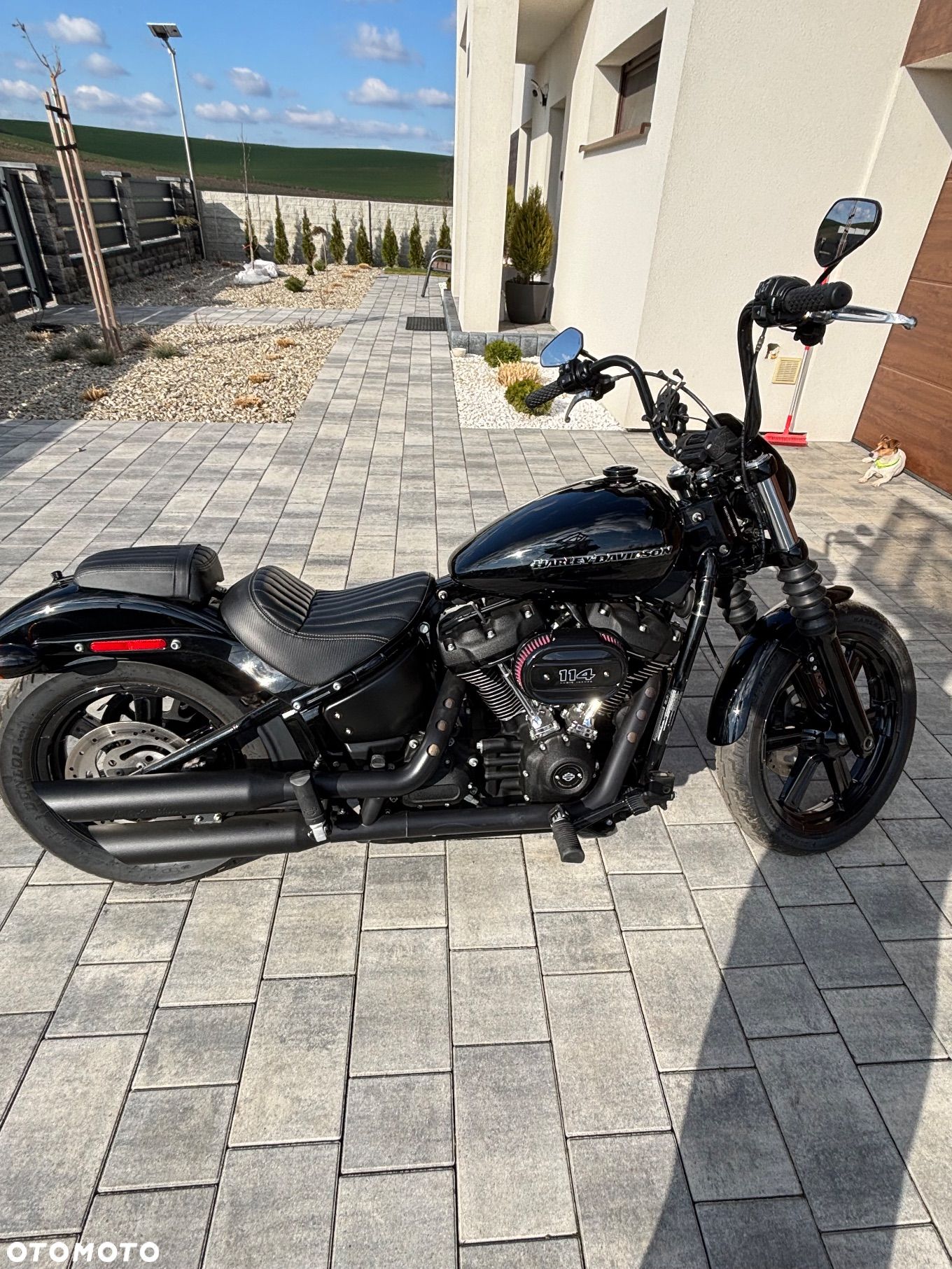 Harley-Davidson Softail Street Bob - 1