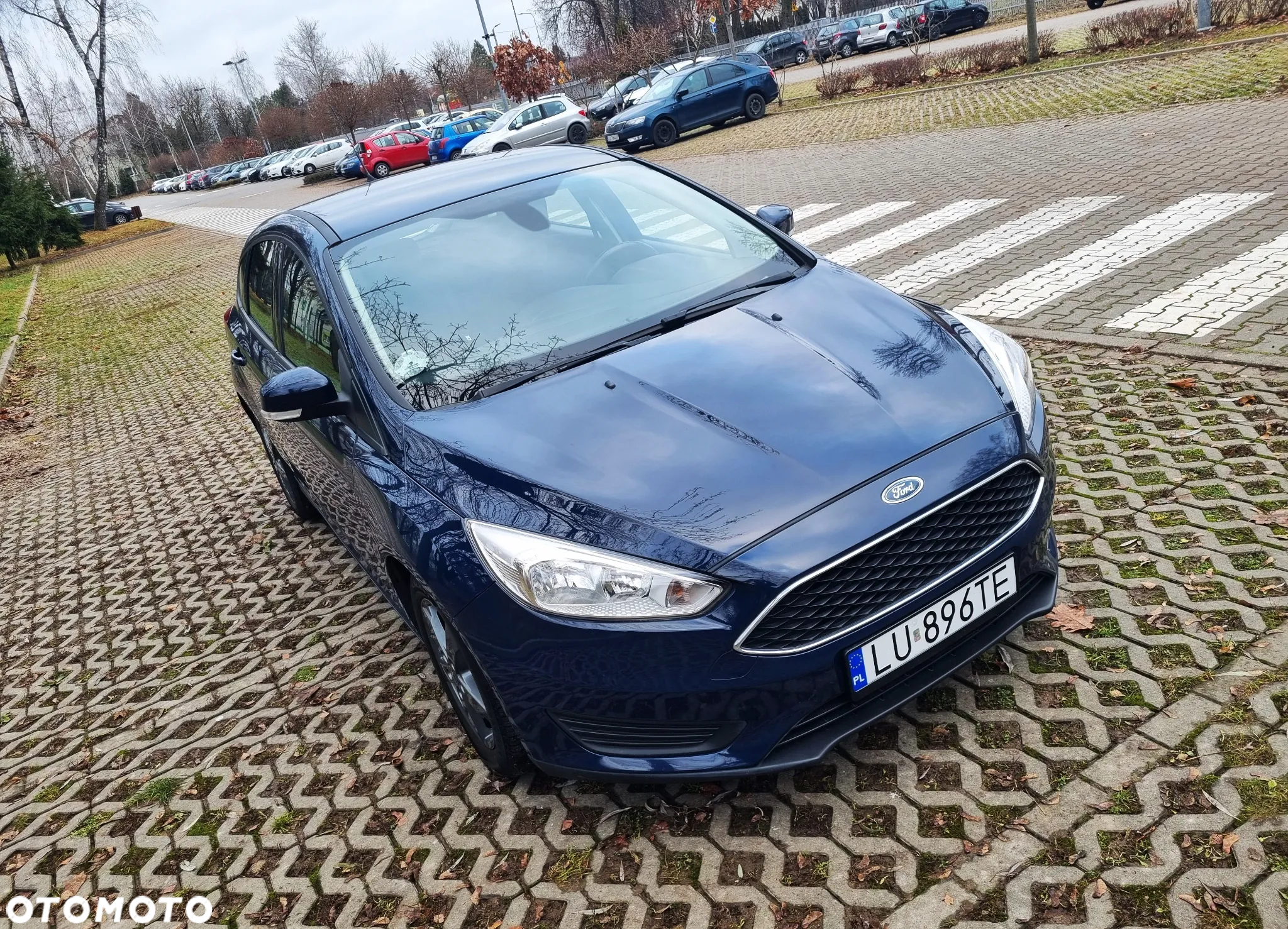 Ford Focus 1.5 EcoBlue Active Business - 9