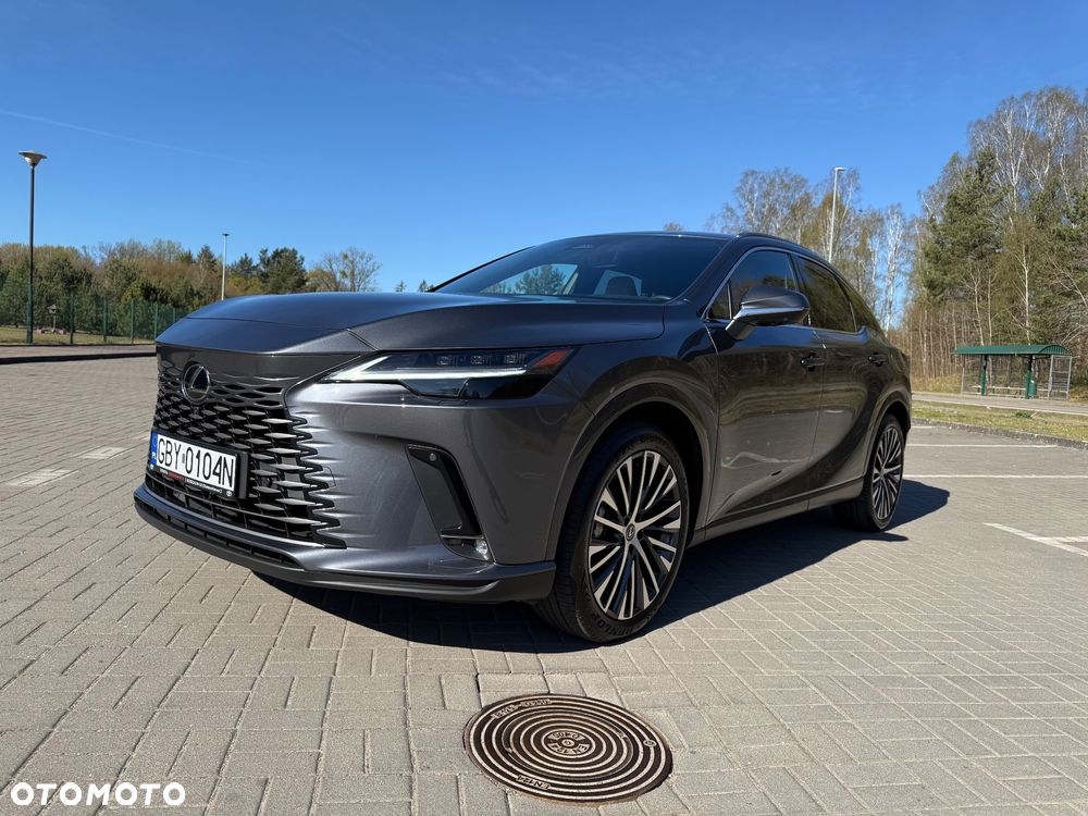 Lexus RX 300 Prestige - 6