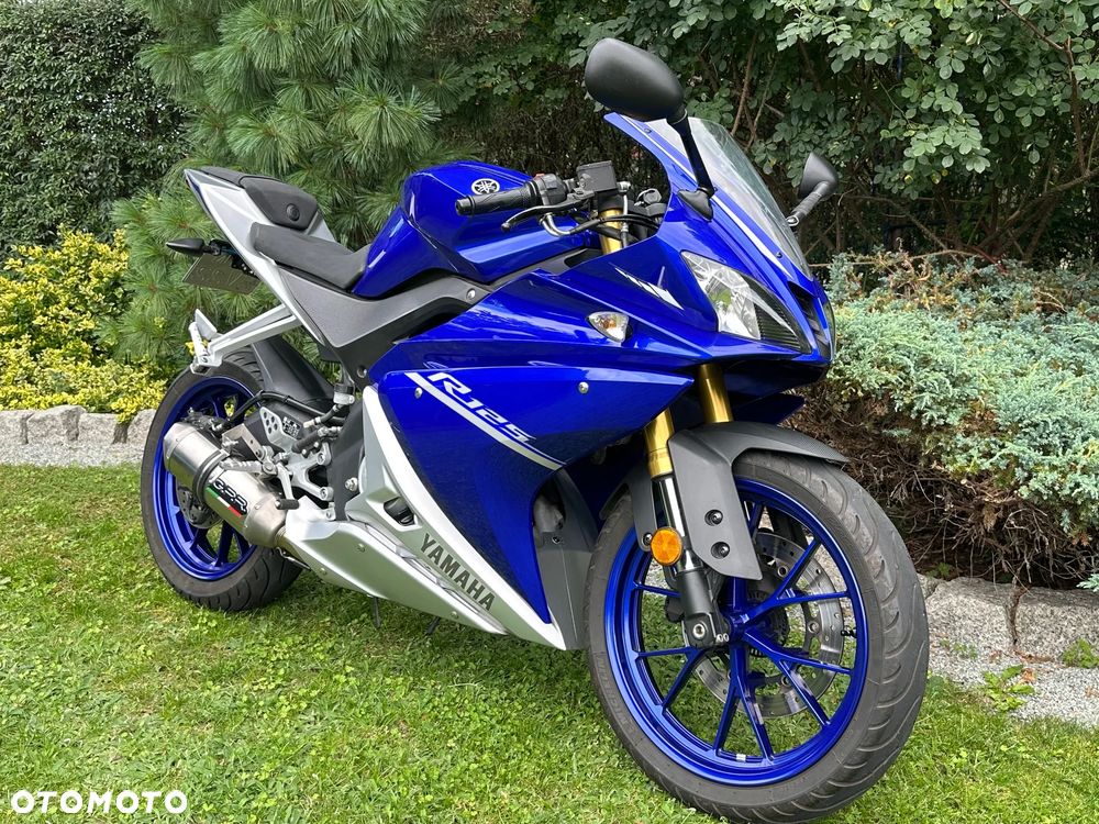 Yamaha YZF - 17