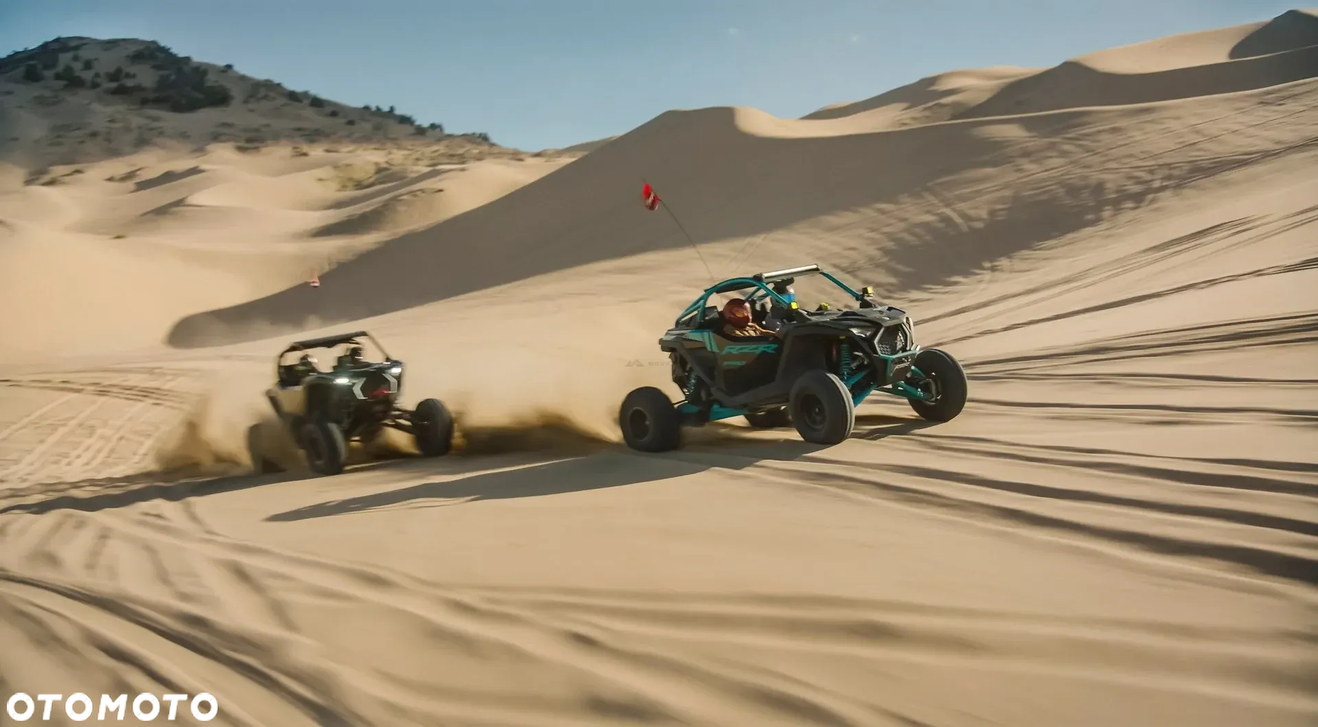 Polaris RZR - 17