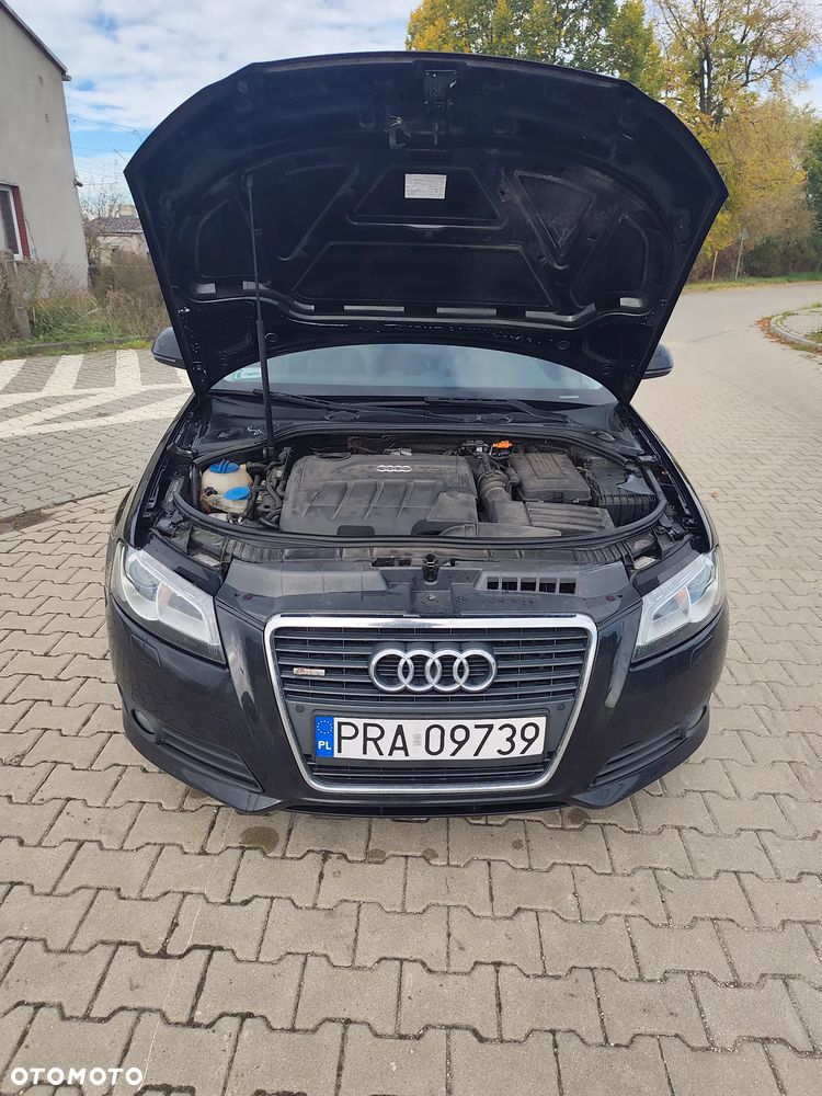Audi A3 3-drzwiowe - 14