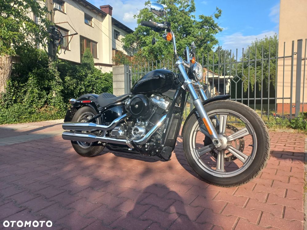 Harley-Davidson Softail Standard - 3