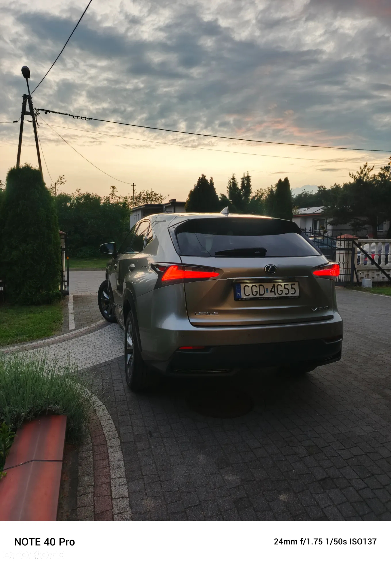 Lexus NX 300h F Sport AWD - 5
