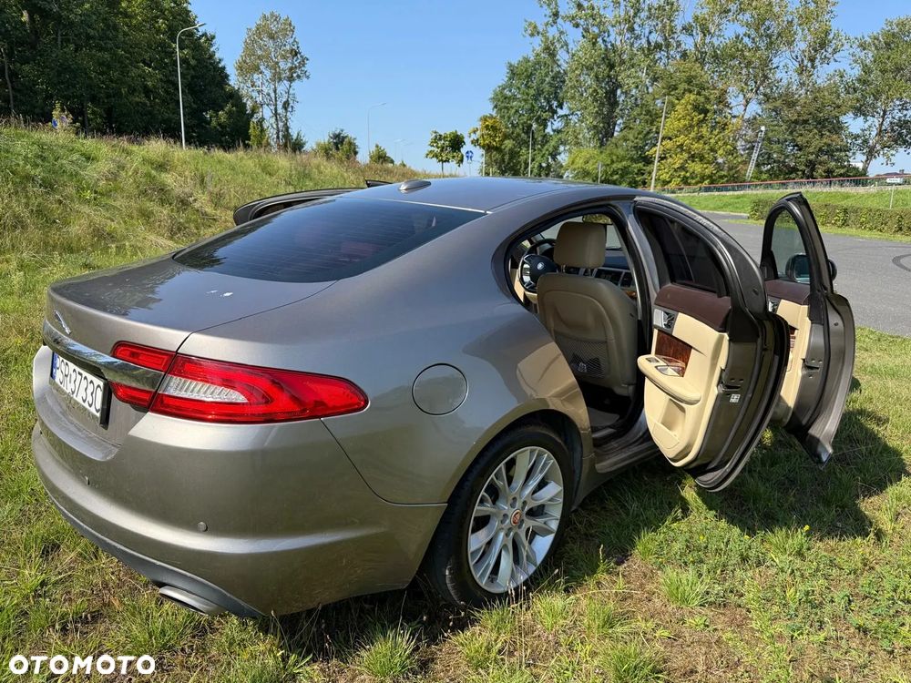 Jaguar XF 3.0 V6 D Luxury - 26