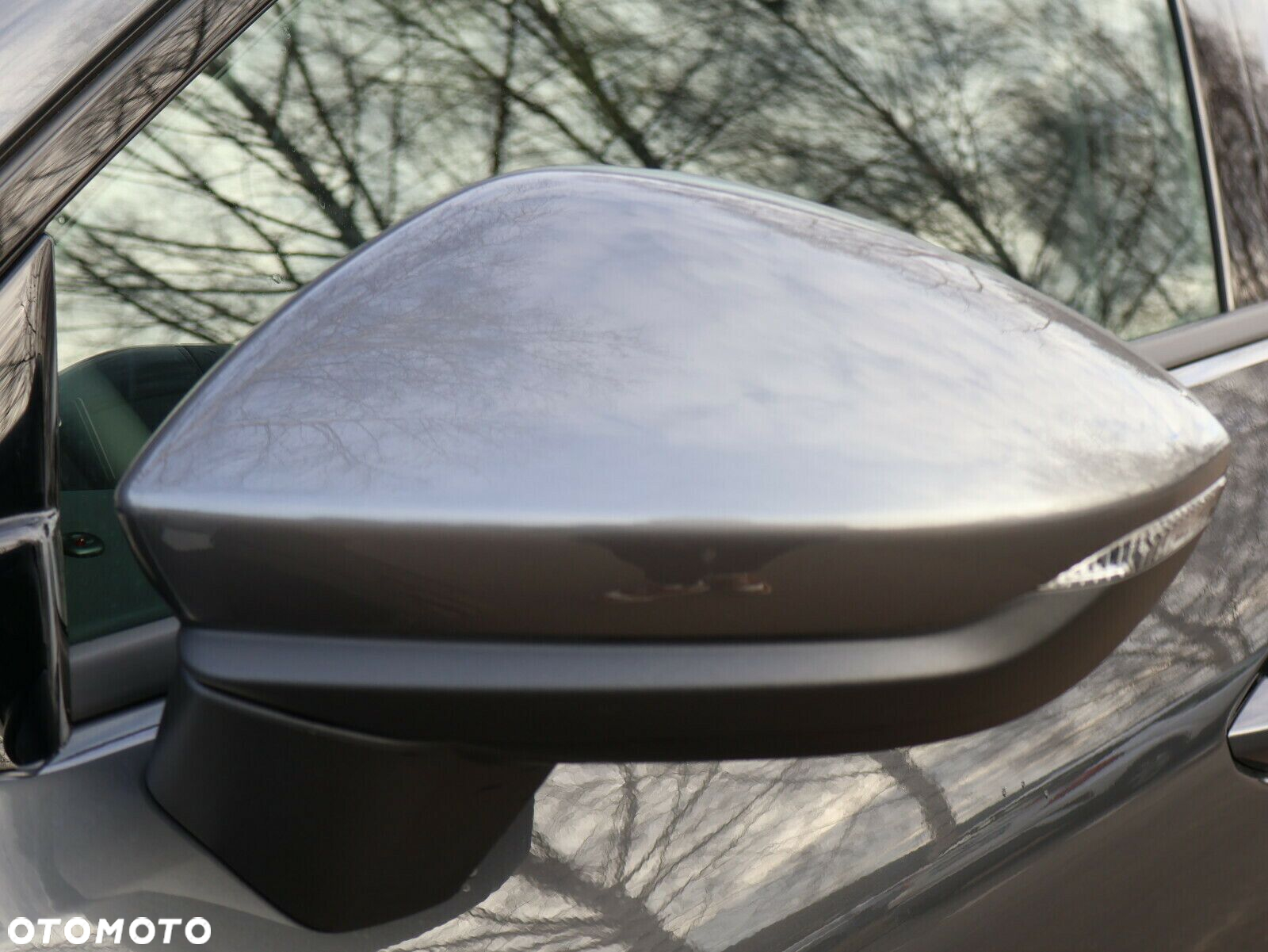 Cupra Terramar - 9