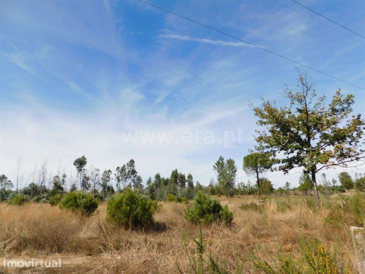 Terreno / Seia, Tourais - Grande imagem: 5/8