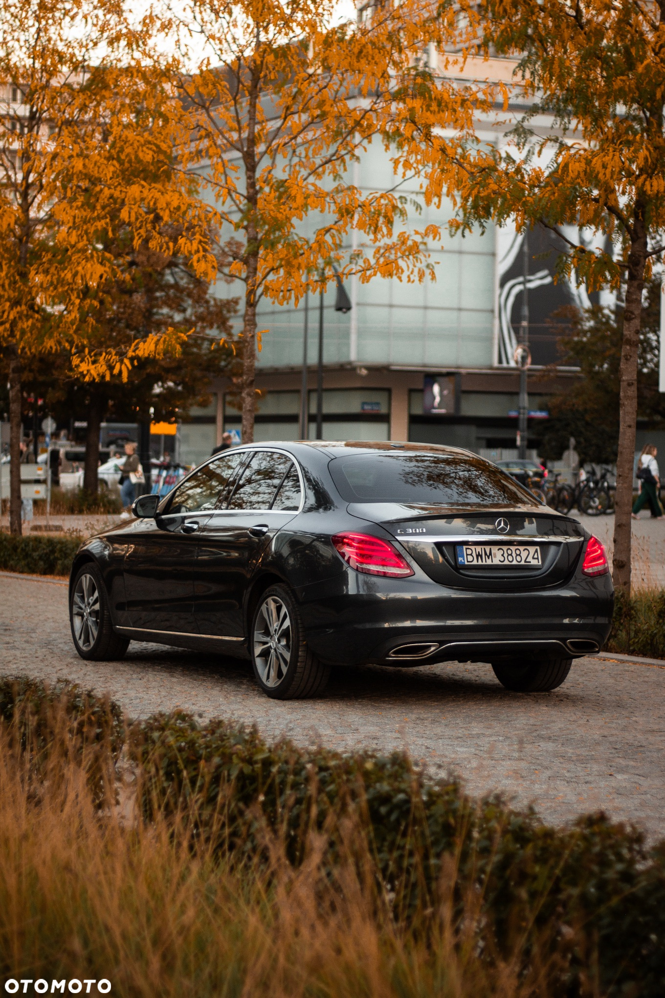 Mercedes-Benz Klasa C 300 7G-TRONIC - 15