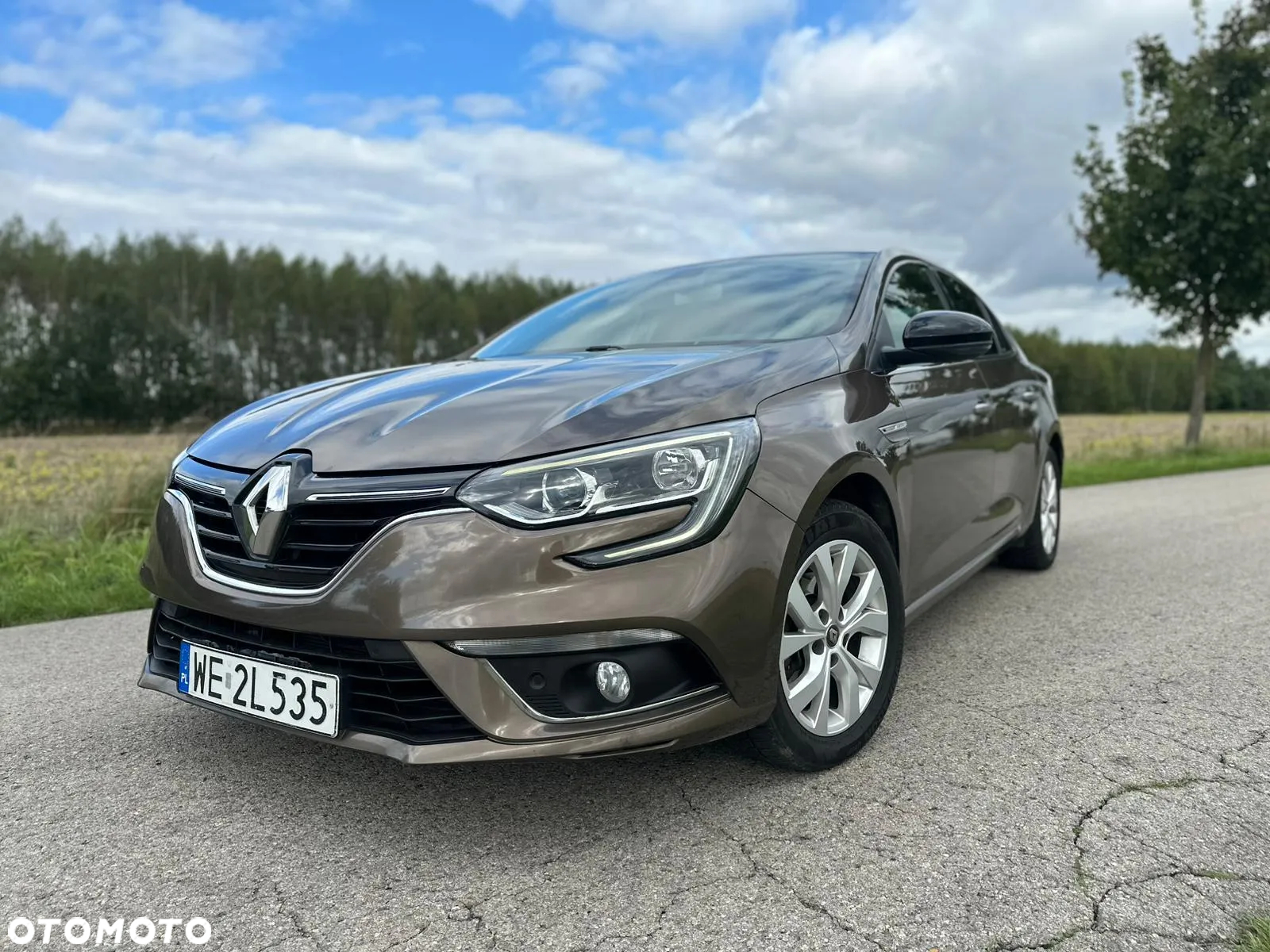 Renault Megane 1.5 Blue dCi Limited - 8
