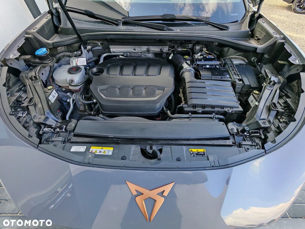 Cupra Terramar 2.0 TSI 4Drive VZ DSG - 24