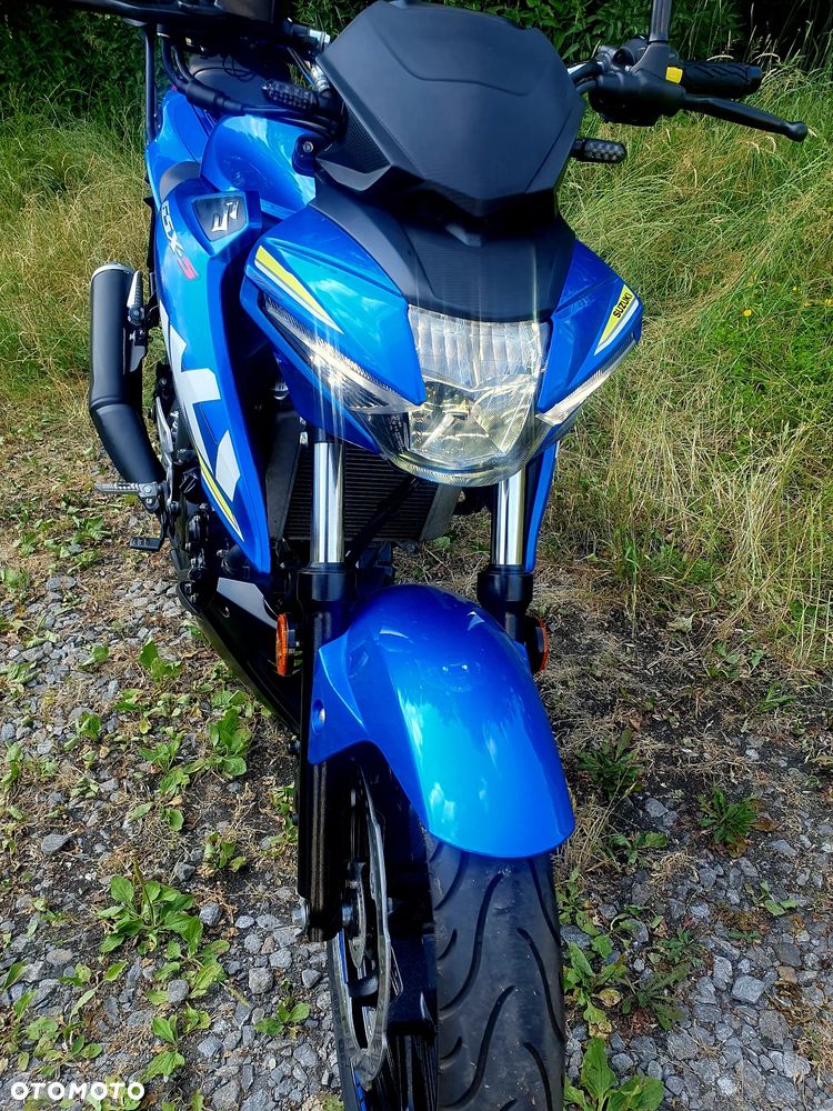 Suzuki GSX - 17