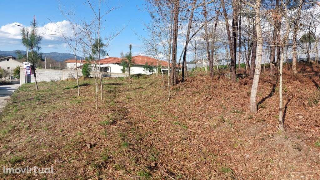 Lote Construção - Fiscal - Grande imagem: 5/8