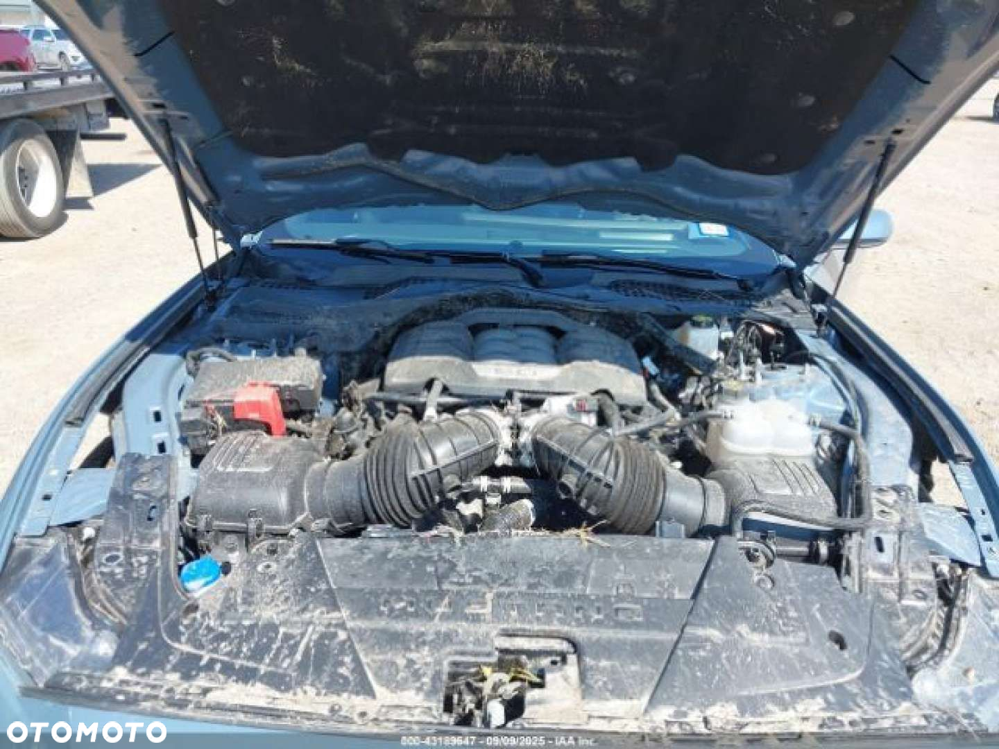 Ford Mustang - 9