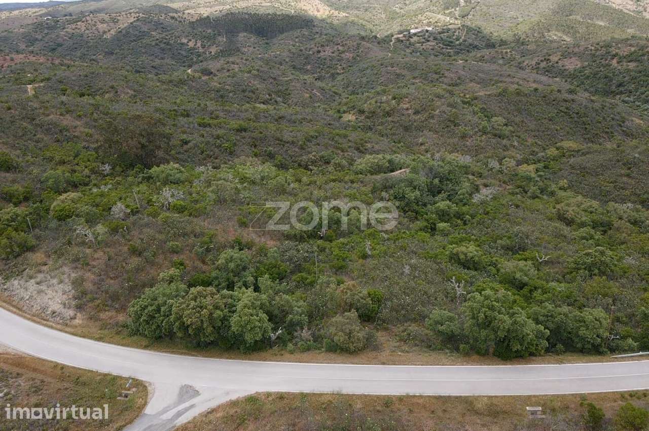 Terreno Rústico com 11.000m2 em Monte Velho, São Barnabé - Grande imagem: 5/10