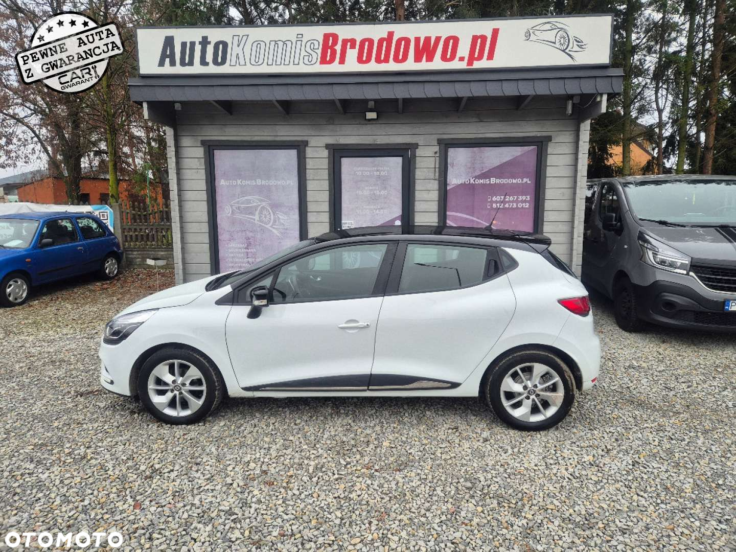 Renault Clio - 8