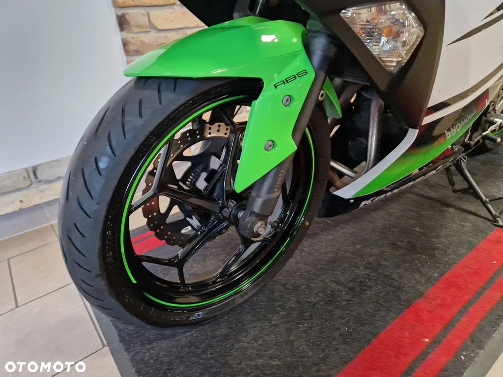 Kawasaki Ninja 300 ABS - 25