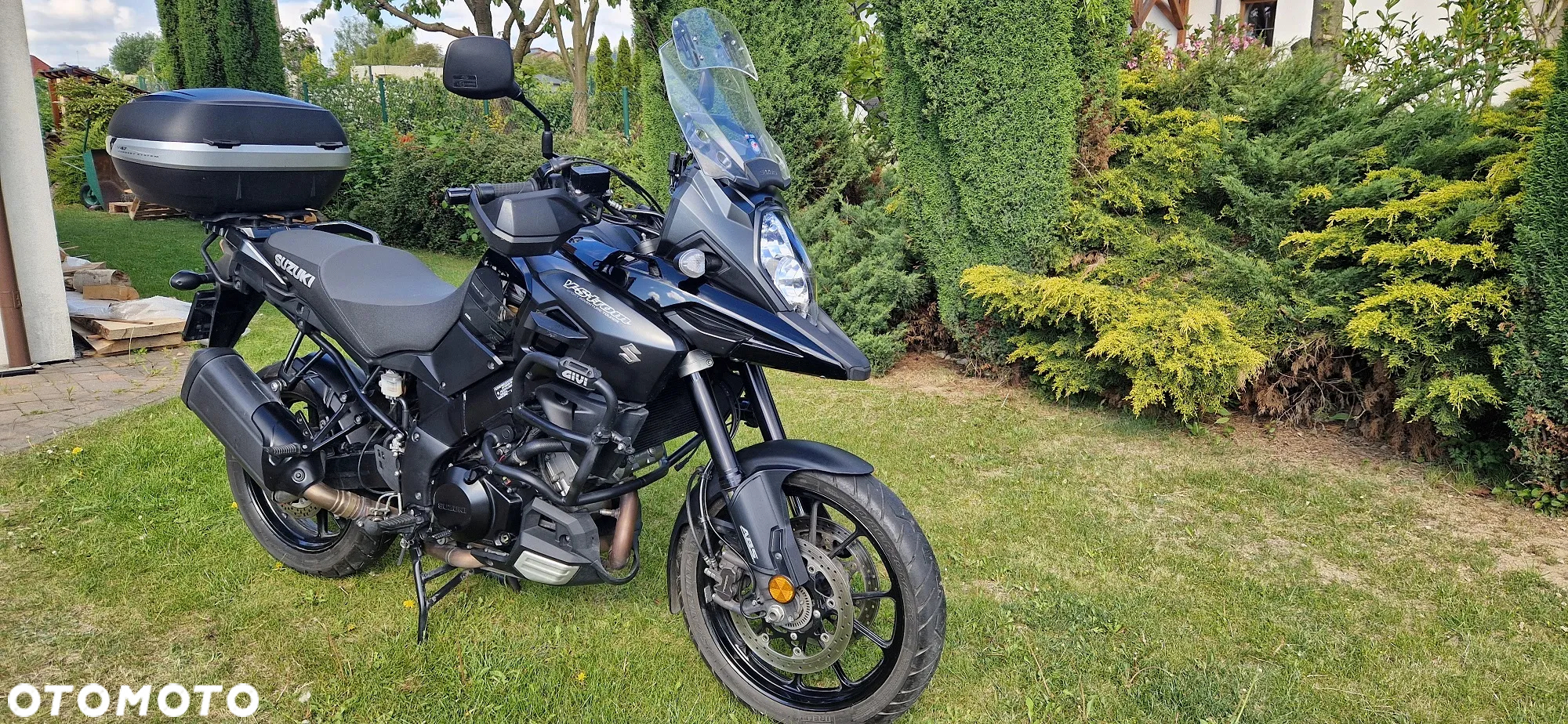 Suzuki DL - 3