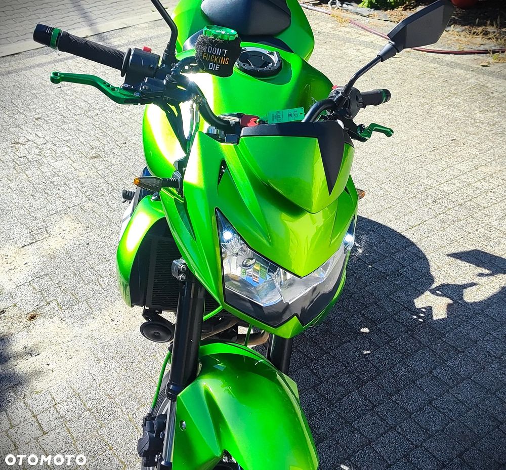 Kawasaki Z - 10
