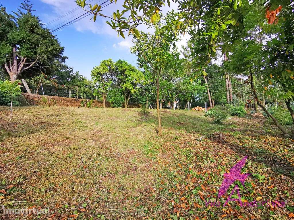 Terreno para Construção em Serreleis - Excelente Localização e Expo... - Grande imagem: 4/7