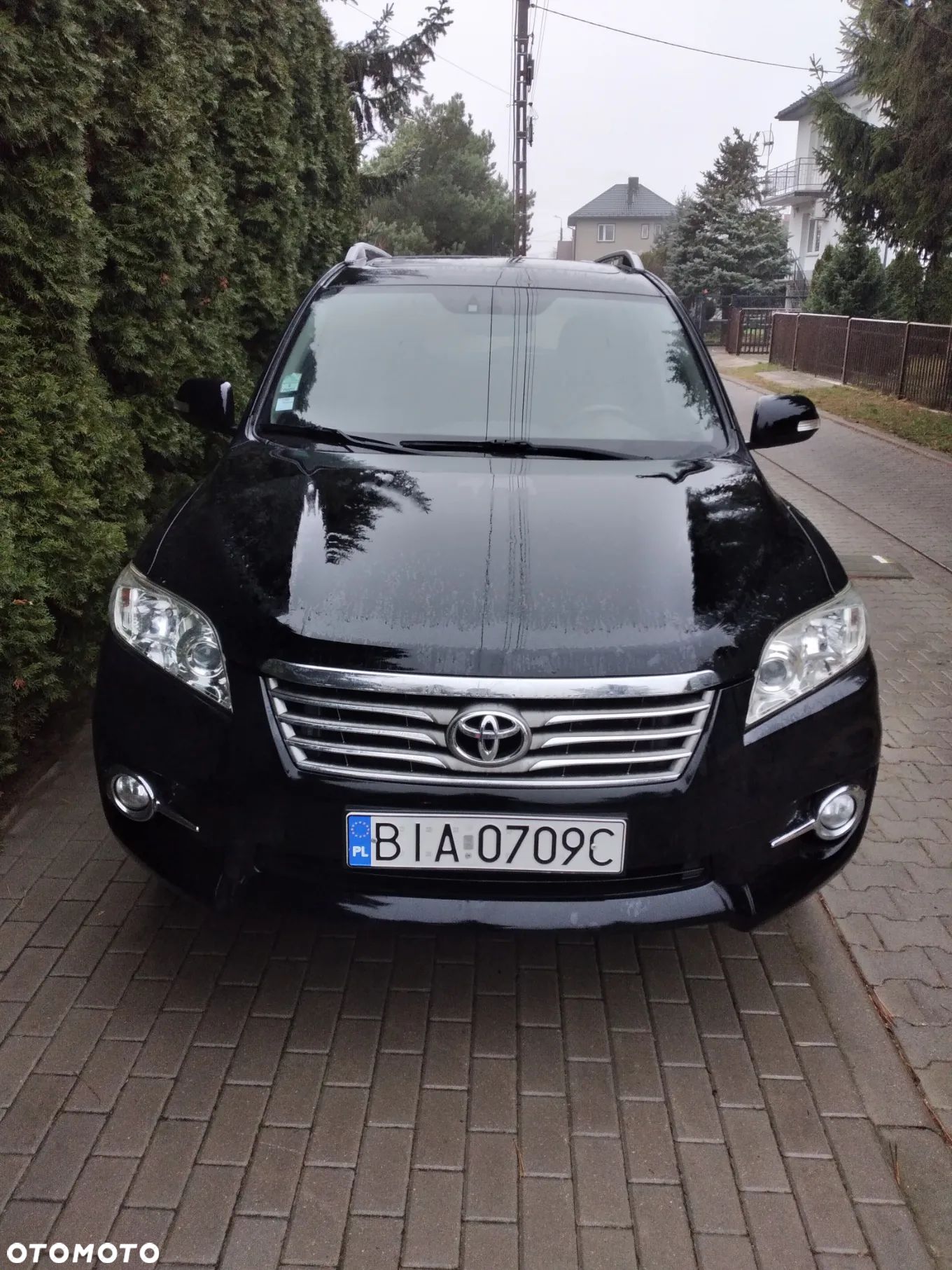 Toyota RAV4 - 1