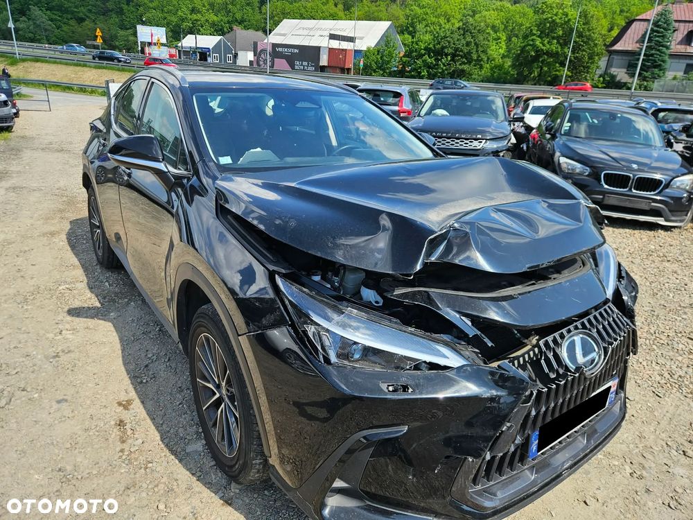 Lexus NX 350h Executive - 14