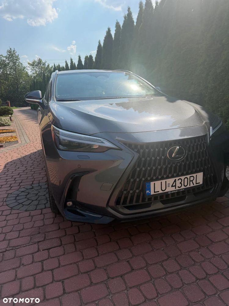 Lexus NX - 2