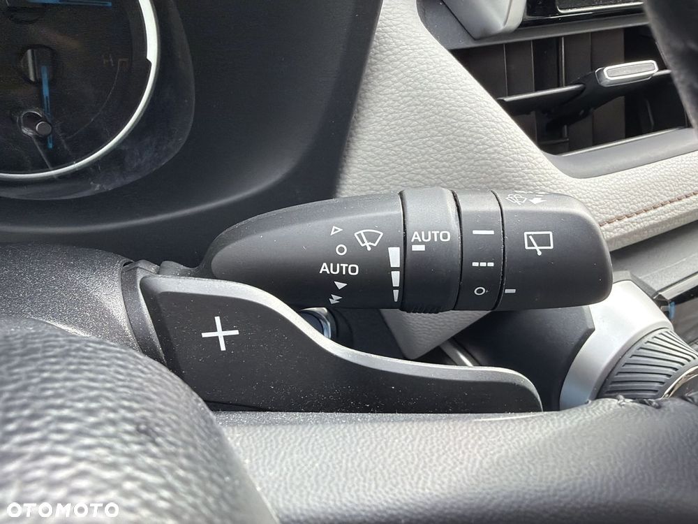 Toyota RAV4 2.5 Hybrid Executive 4x4 - 18