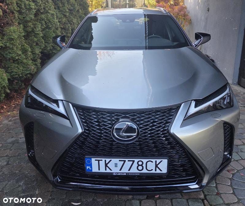 Lexus UX 200 GPF F Sport Design+ 2WD - 12