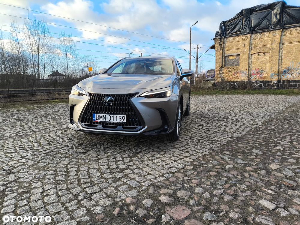 Lexus NX - 24