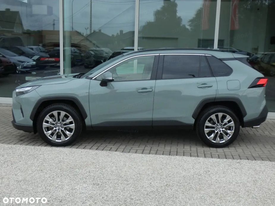 Toyota RAV4 2.5 Hybrid Executive 4x2 - 2