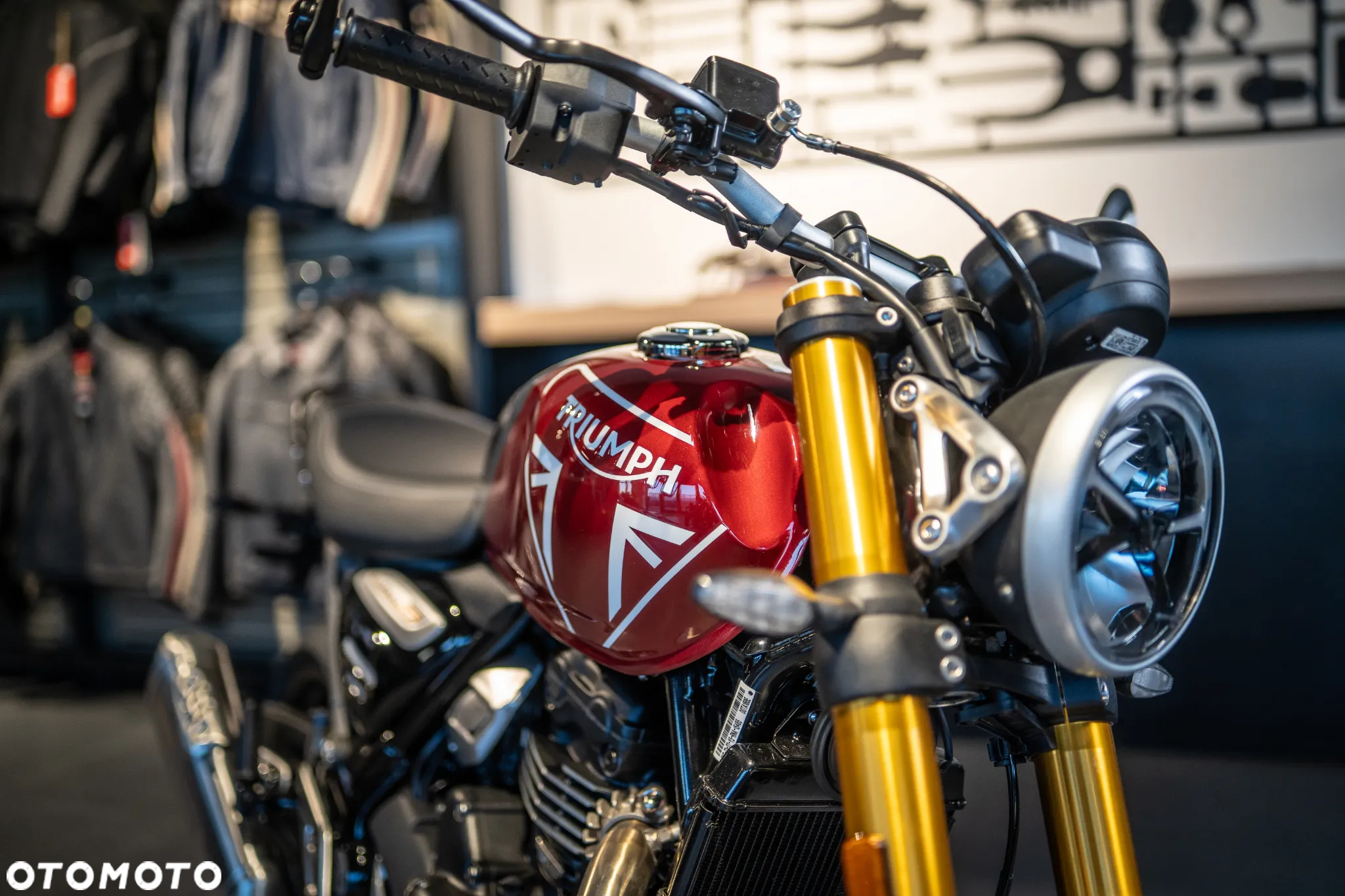 Triumph Inny - 19