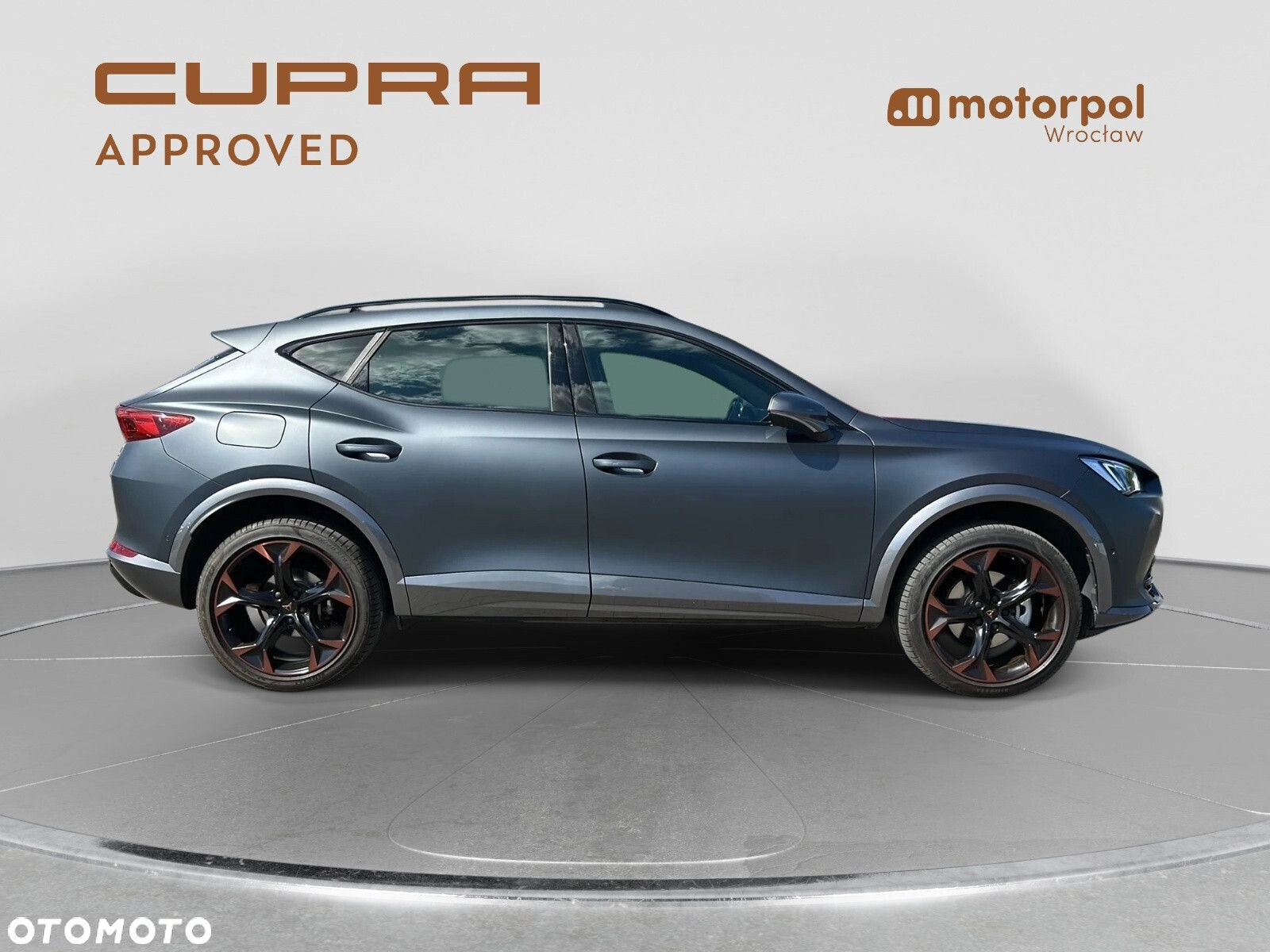 Cupra Formentor 2.0 TSI 4Drive DSG - 17