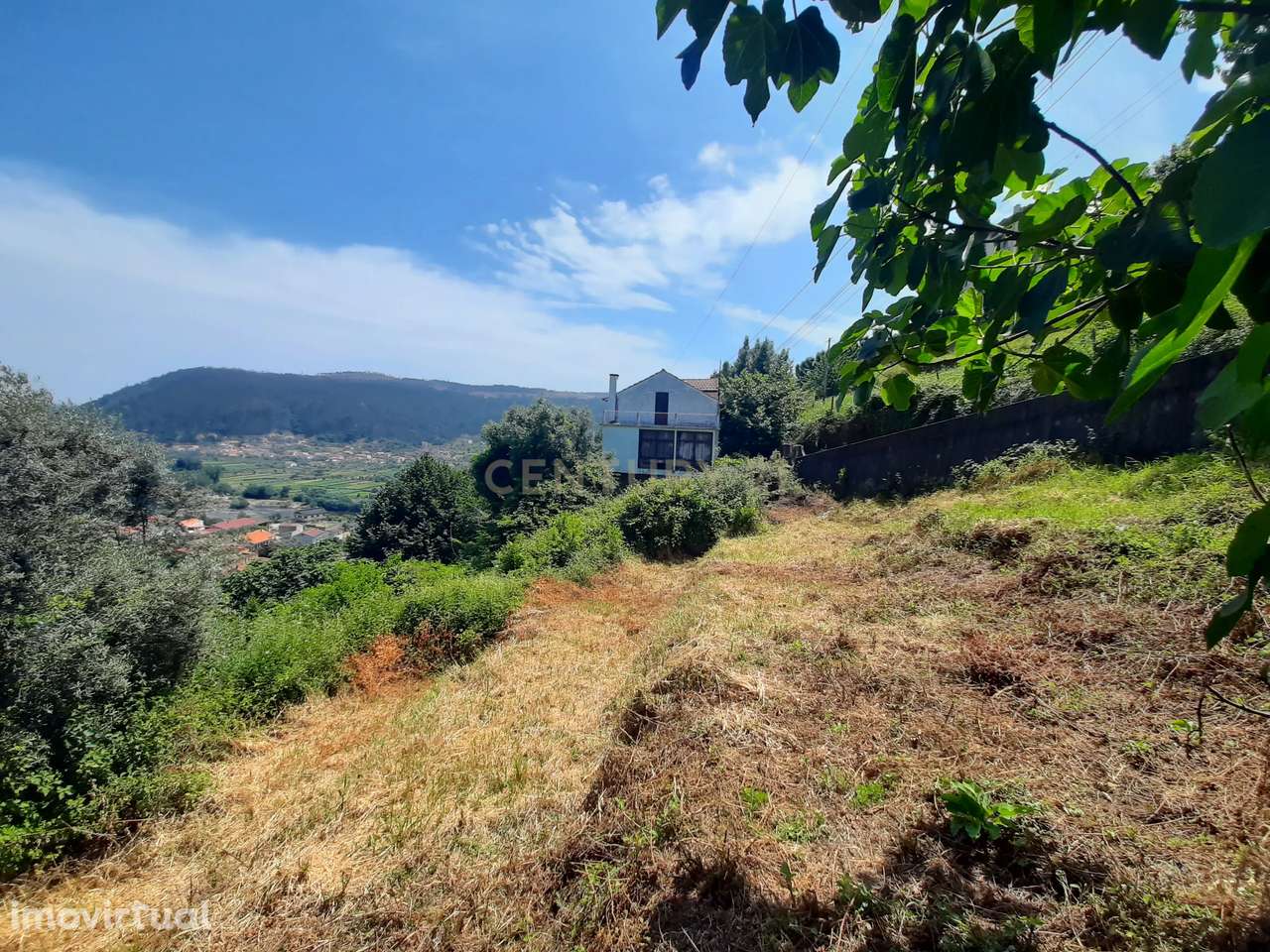 Terreno para construção em Penacova - Grande imagem: 3/8