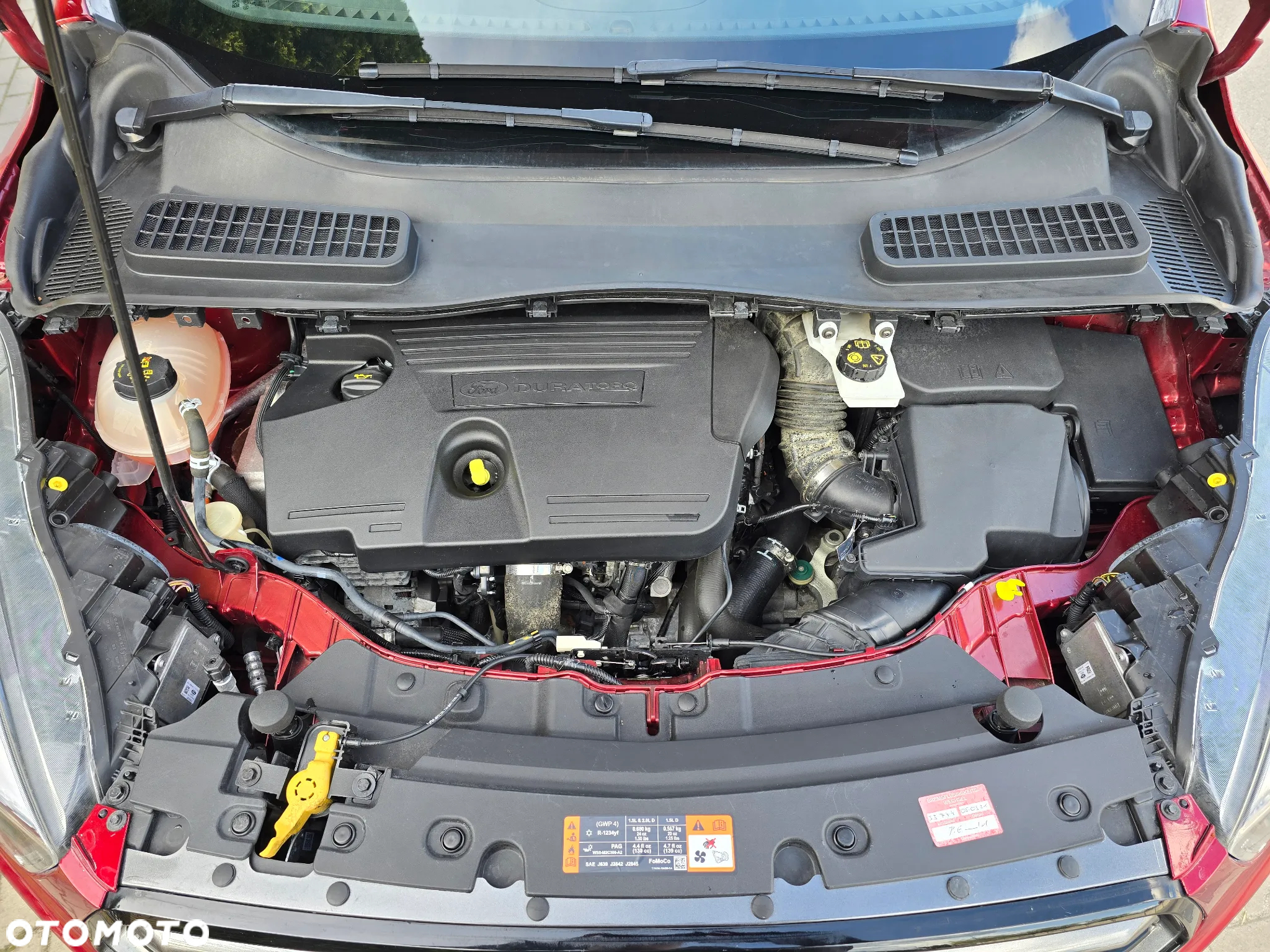 Ford Kuga 2.0 TDCi AWD ST-Line - 30