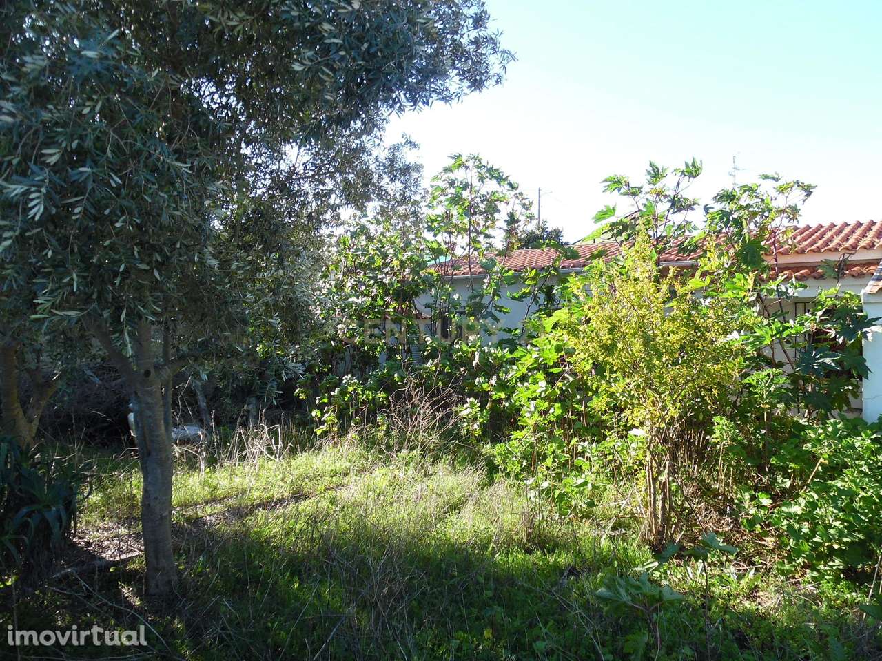 Terreno Urbano em Fernão Ferro, Seixal - Oportunidade Única - Grande imagem: 5/49