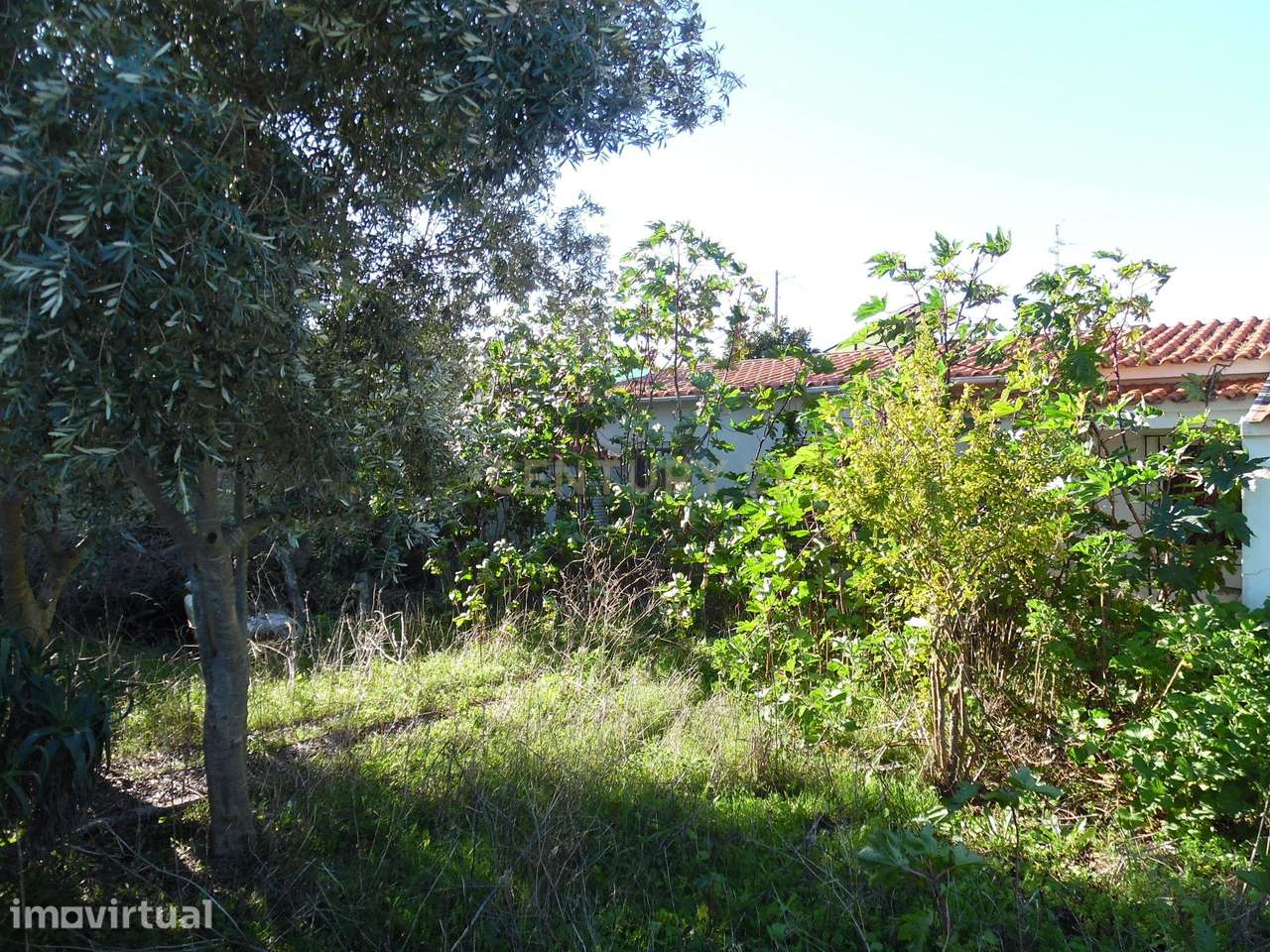 Terreno Urbano em Fernão Ferro, Seixal - Oportunidade Única - Grande imagem: 5/49