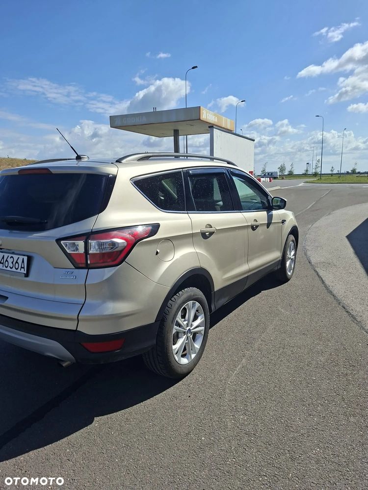 Ford Escape - 4