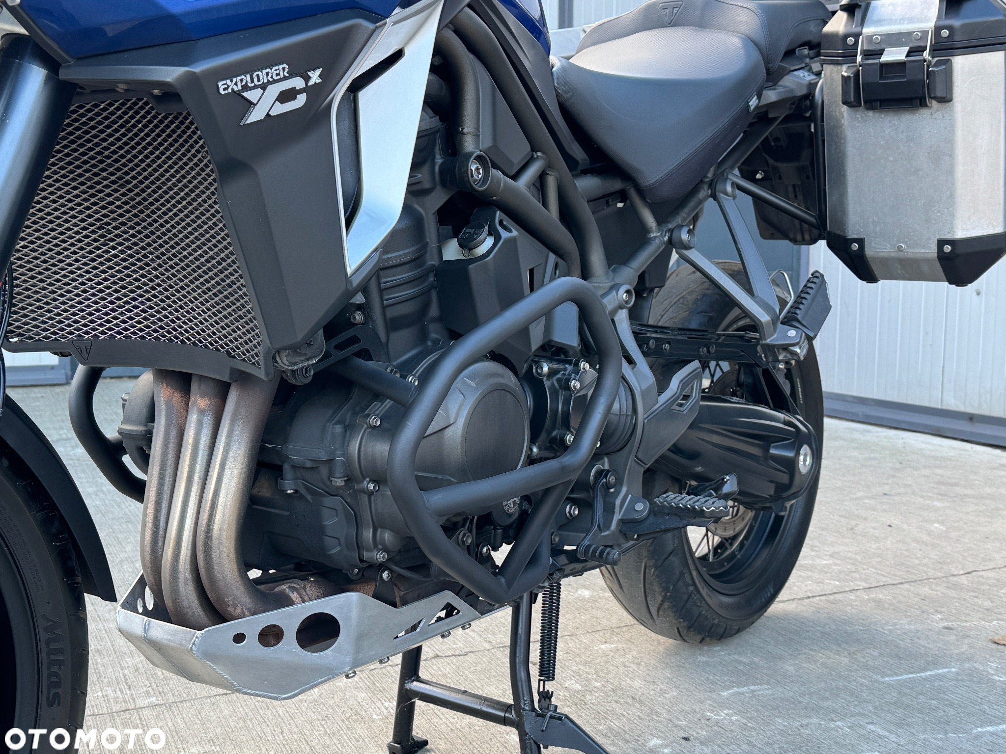 Triumph Tiger - 31