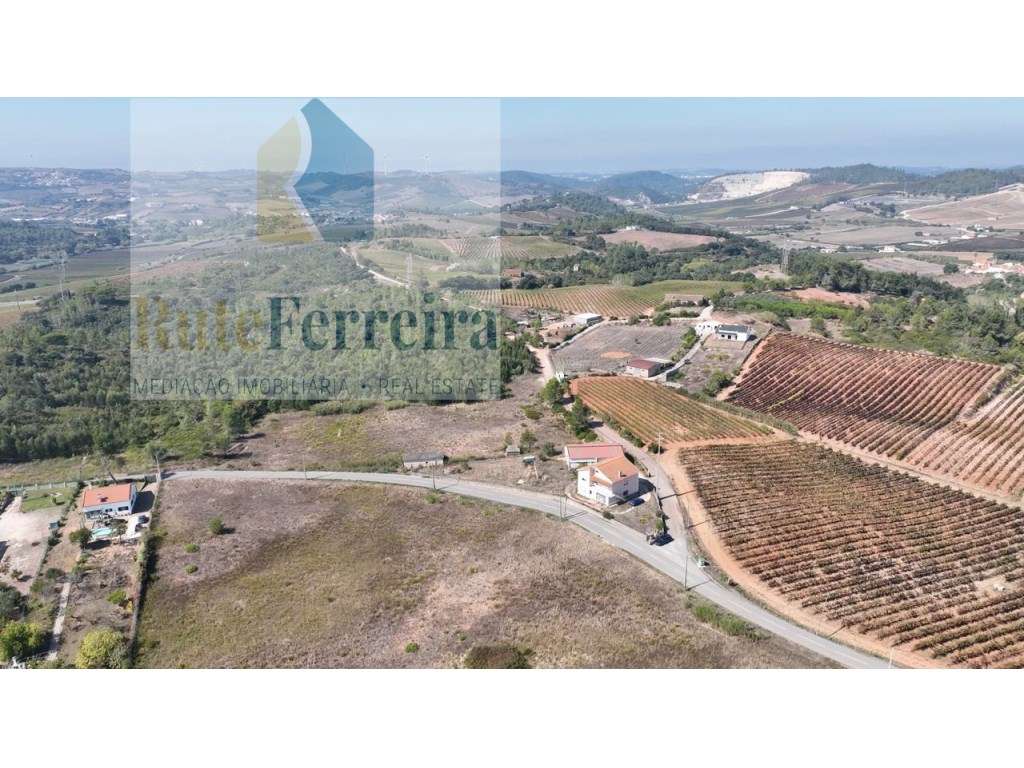 Amplo terreno urbanizável !! - Grande imagem: 4/14