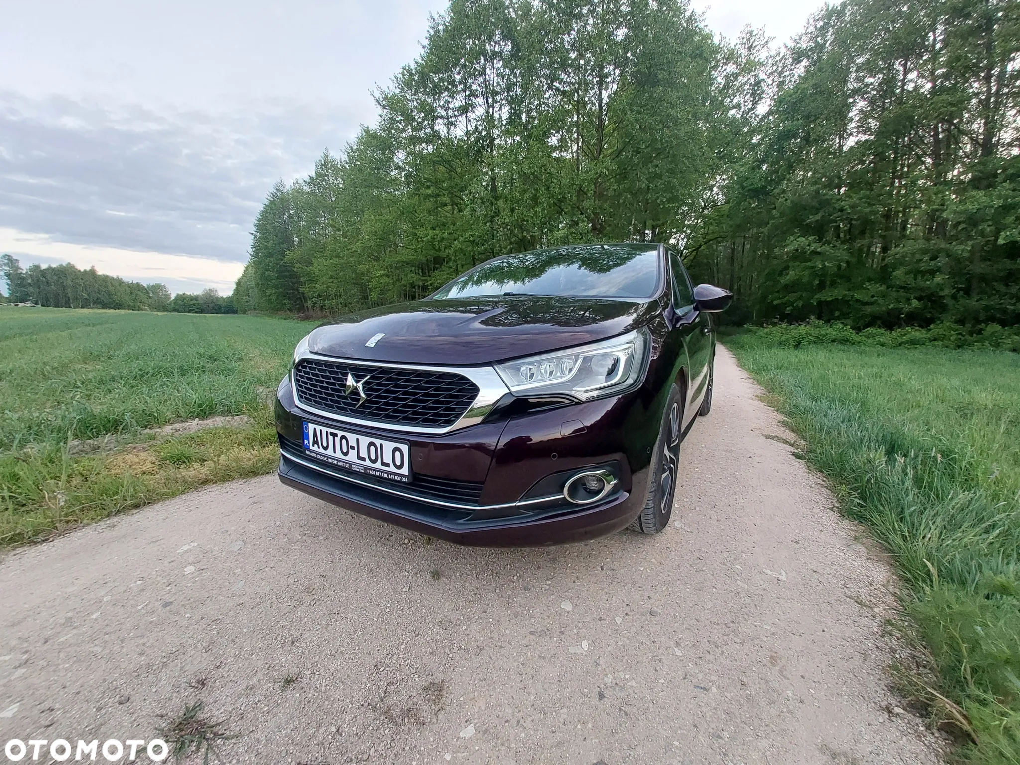 DS Automobiles DS 4 - 2